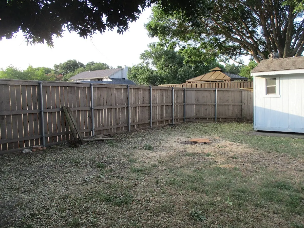 Cleared yard after professional tree removal in Rancho Cordova